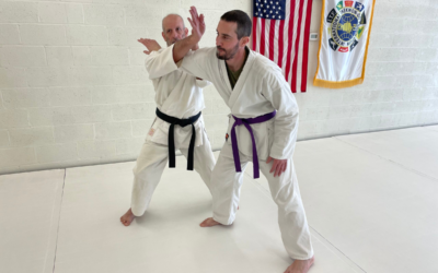Te Before Jitsu: Why You Strike Before You Grapple