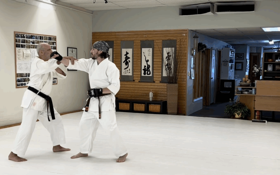 Understanding HAPV: The Real Roots of Karate Self-Protection