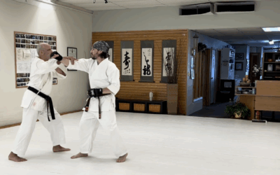 Understanding HAPV: The Real Roots of Karate Self-Protection